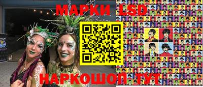 гашик Сланцы