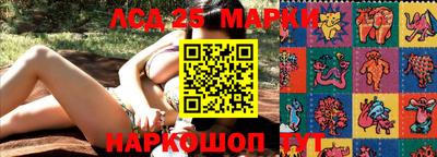 стаф Славгород