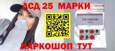 гашик Сланцы