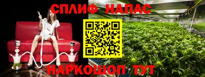гашик Сланцы