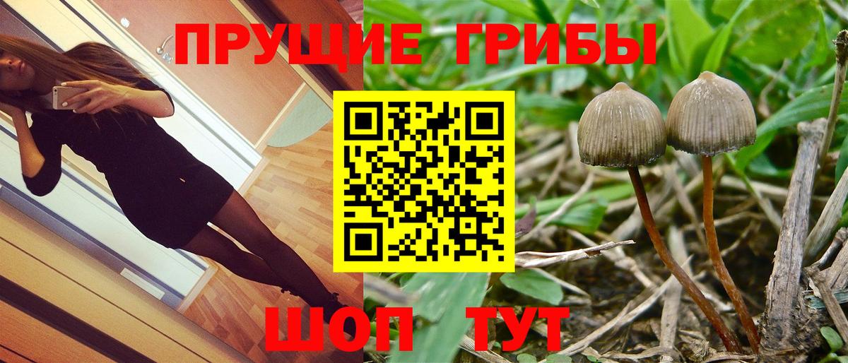 Полысаево  Галлюциногенные грибы прущие грибы  Вход с VPN 