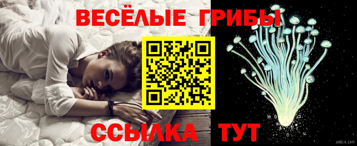 Псилоцибиновые грибы Magic Shrooms Полысаево
